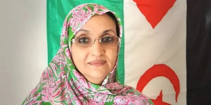 Some EU nations' backing of Morocco prolongs conflict in Western Sahara, Aminatou Haidar says