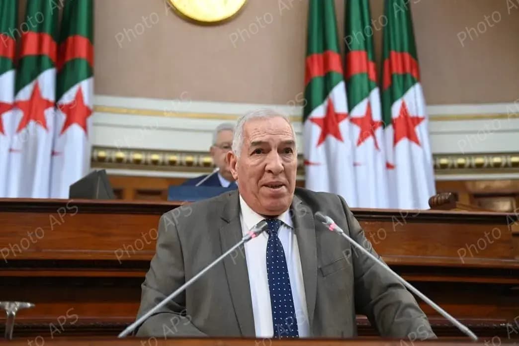 Law criminalizing colonialism: Victorious Algeria never compromises on national memory