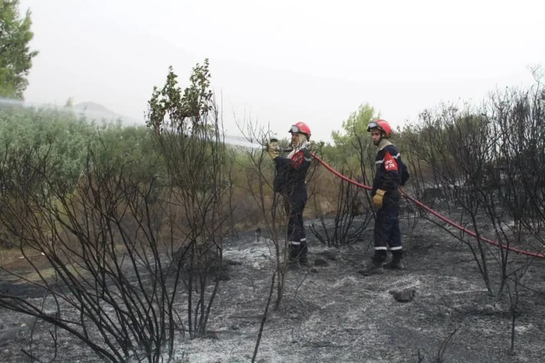 Civil Protection: 147 of 193 fires extinguished as of Thursday morning
