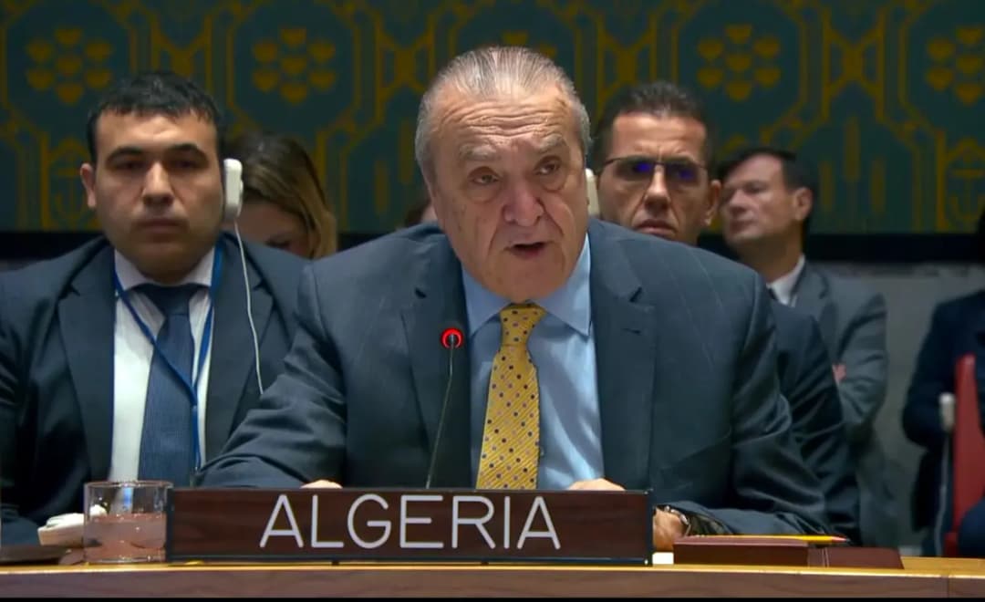 Security Council: A3+ group advocates for future mirroring Syrian people’s aspirations