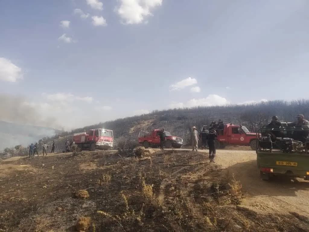 Civil Protection: Wildfires fully contained nationwide
