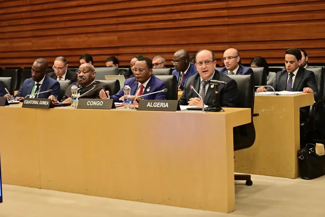PM represents President Tebboune at AU Committee of 10 meeting on Security Council reform