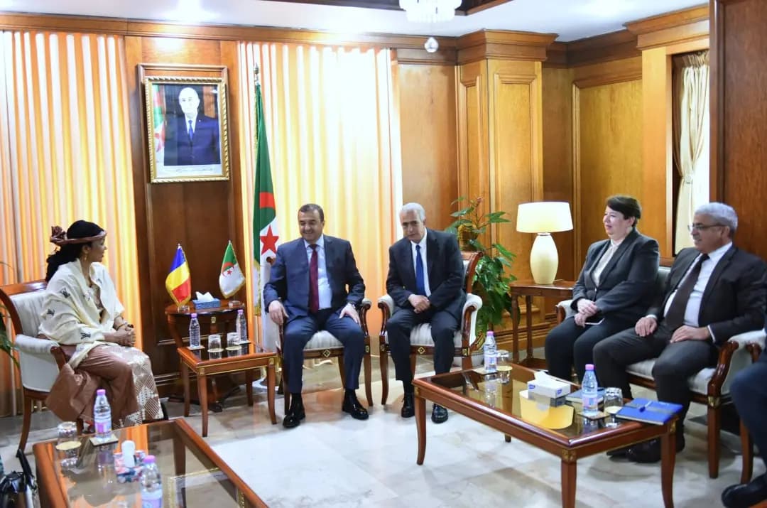 Algeria-Chad talks on cooperation in hydrocarbons, mines