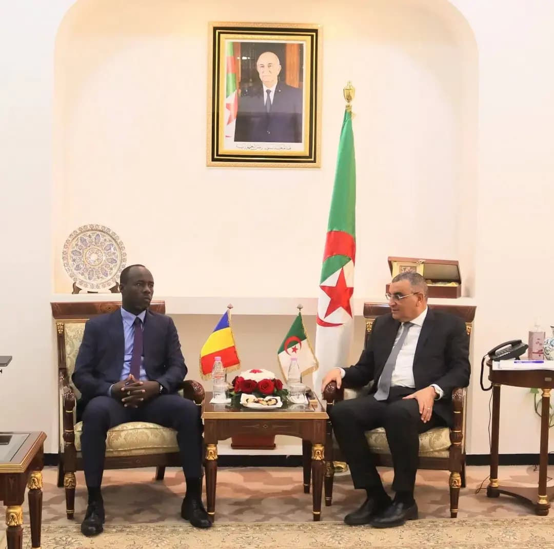 Djellaoui examines with Chadian counterpart ways to boost bilateral cooperation
