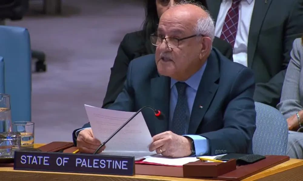 Mansour urges swift action on humanitarian needs