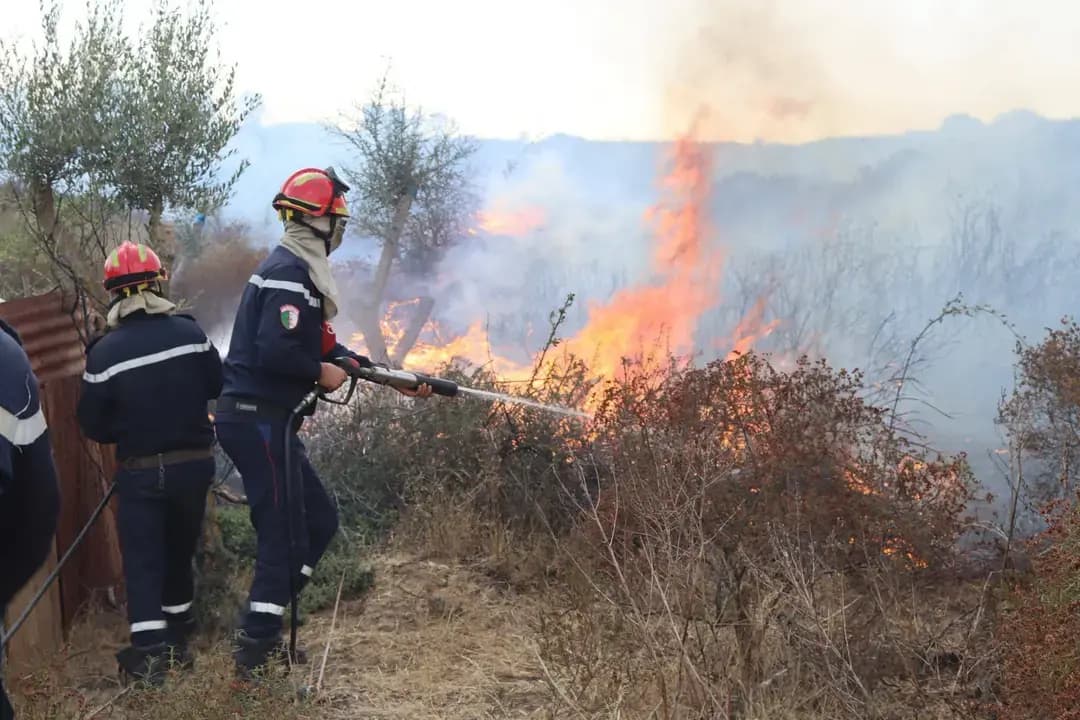 Field operations underway to control fires in several provinces