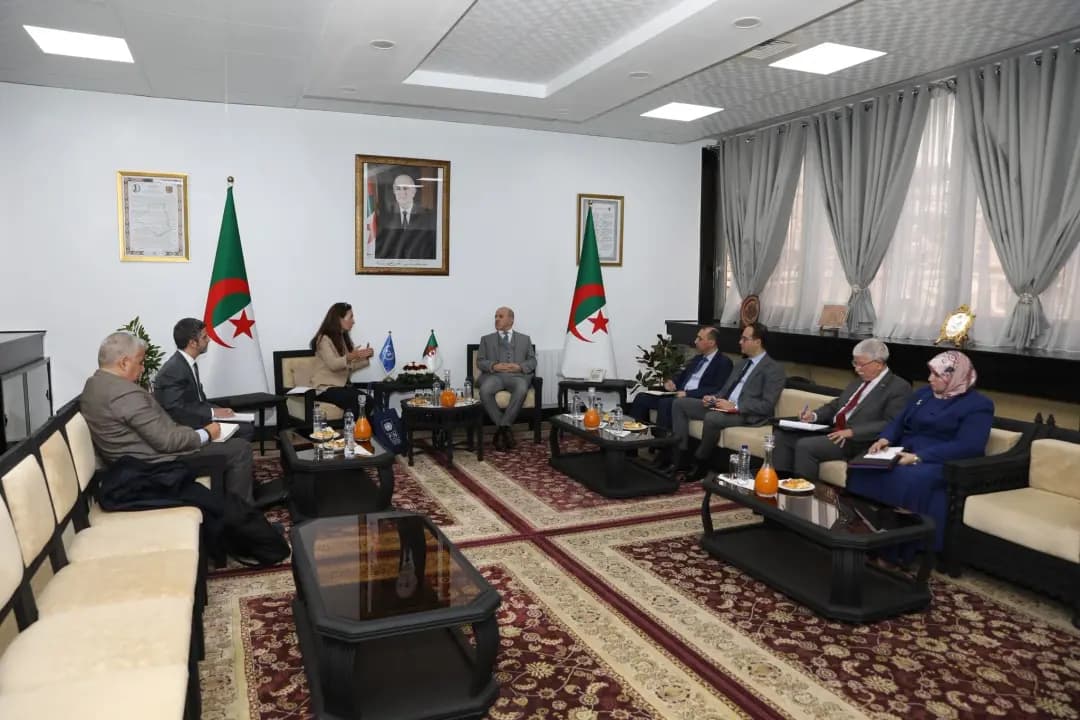 Saihi receives UNDP resident representative in Algeria