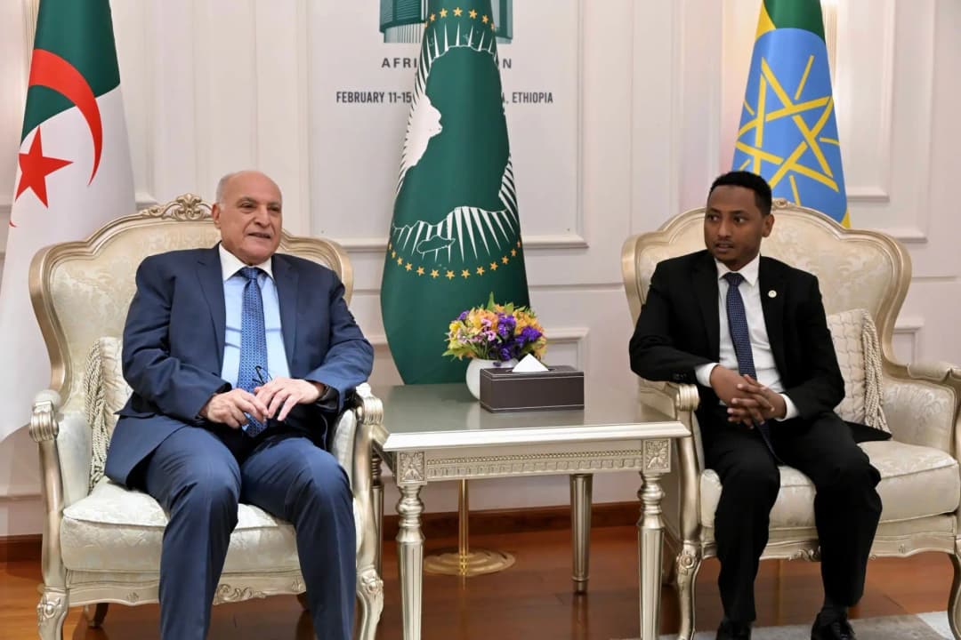 AU Executive Council meeting: Attaf arrives in Addis Ababa