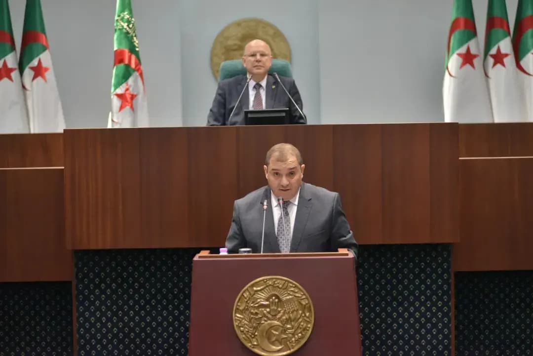 Nationality code: Proposed amendment establishes framework for denationalization, says Boudjemaa