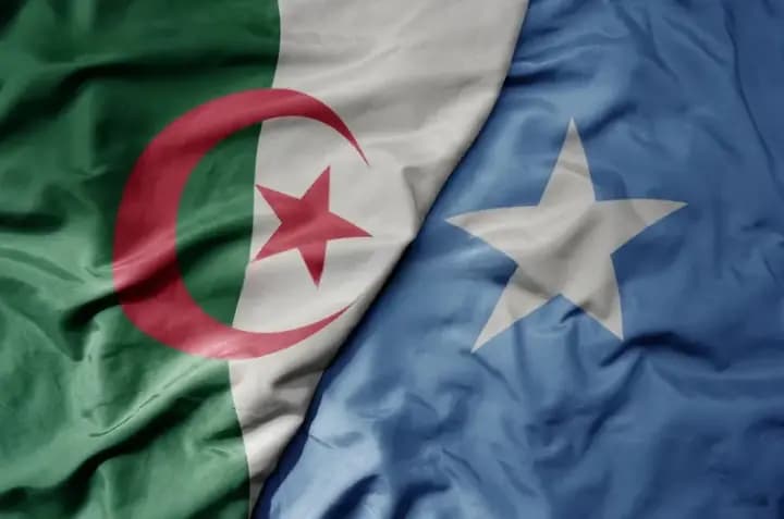 Strong political resolve drives new momentum in Algeria-Somalia bilateral cooperation