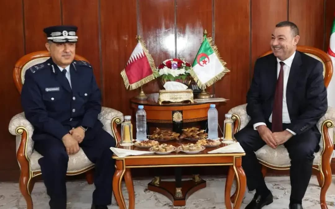 Sayoud receives International Cooperation Director at Qatar's Interior Ministry