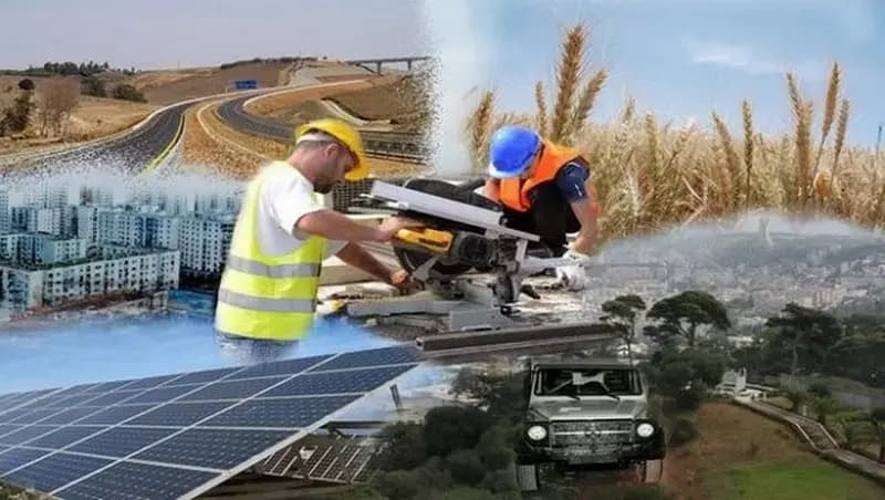 Non-hydrocarbon exports soar in multiple sectors in Jan-Jul 2025