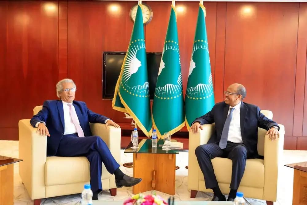 AU Commission Chairperson briefed on latest developments in Sahrawi issue
