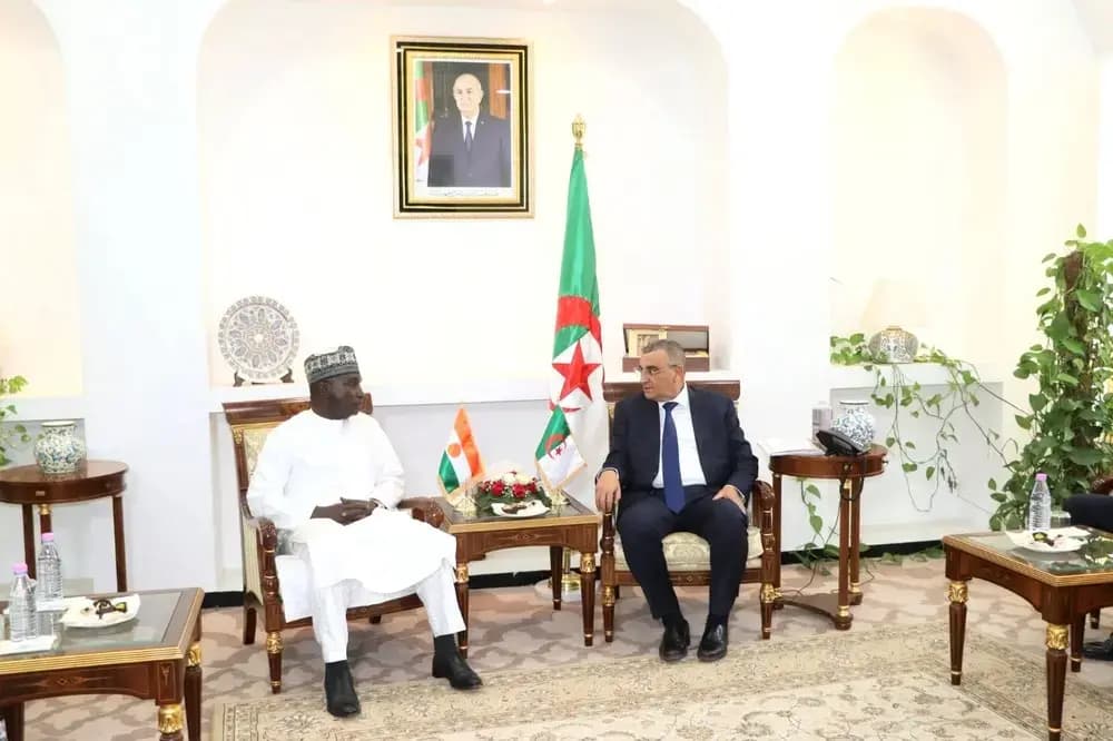 Djellaoui, Nigerien counterpart discuss prospects for bilateral cooperation