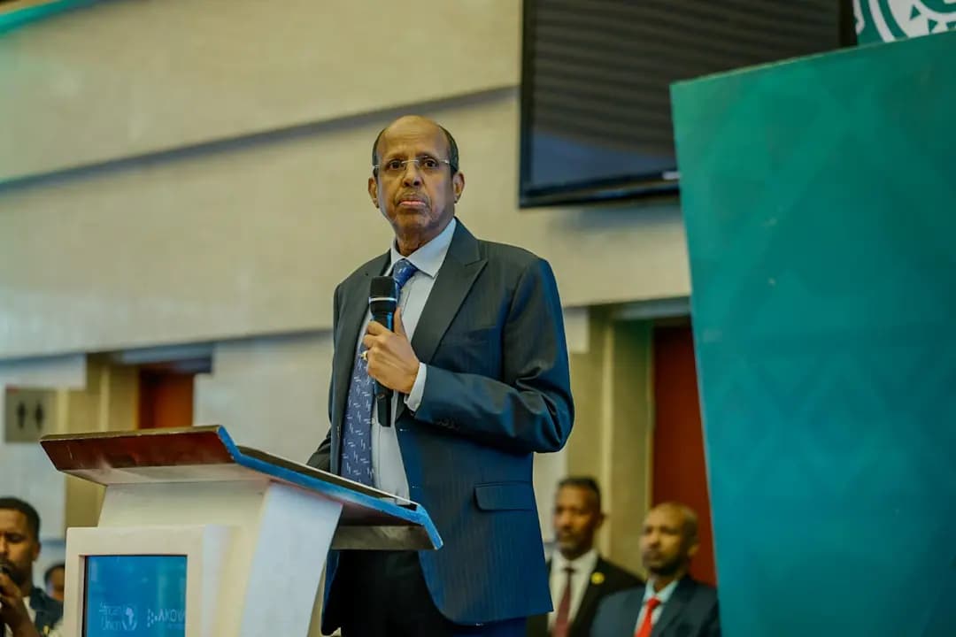 Africa Day: AU Commission calls for strengthening continent's collective voice

