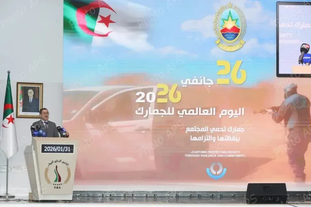 Customs: Major operations conducted in 2025
