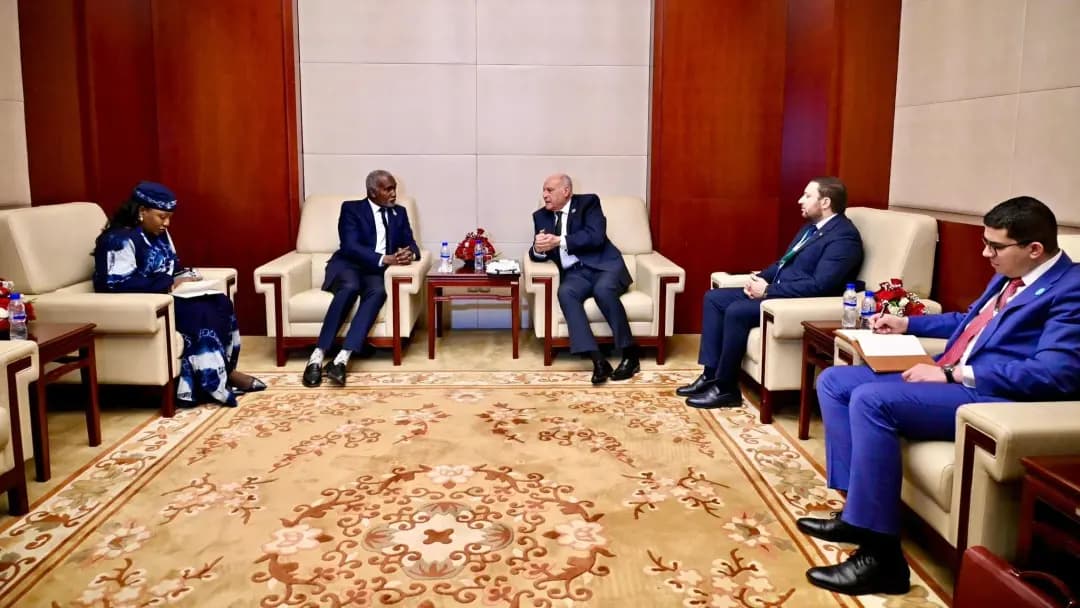 Attaf holds talks with Nigerian counterpart in Addis Ababa
