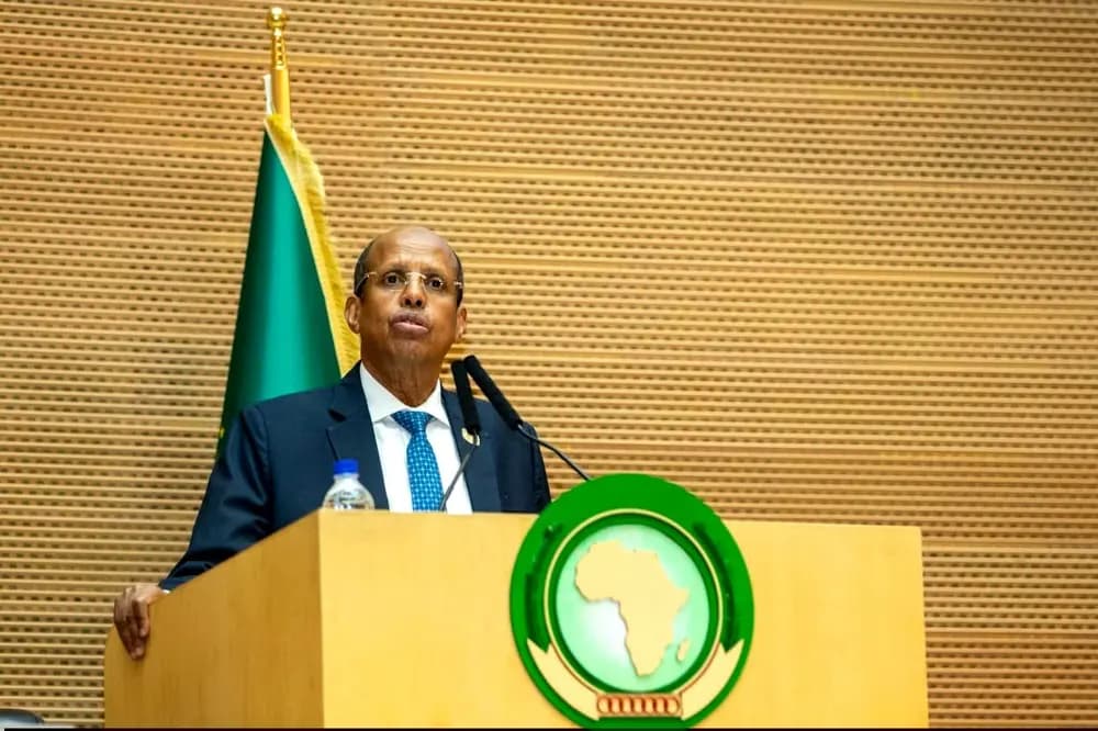 Ali Youssouf flags political instability, security crises as top AU Executive Council concerns