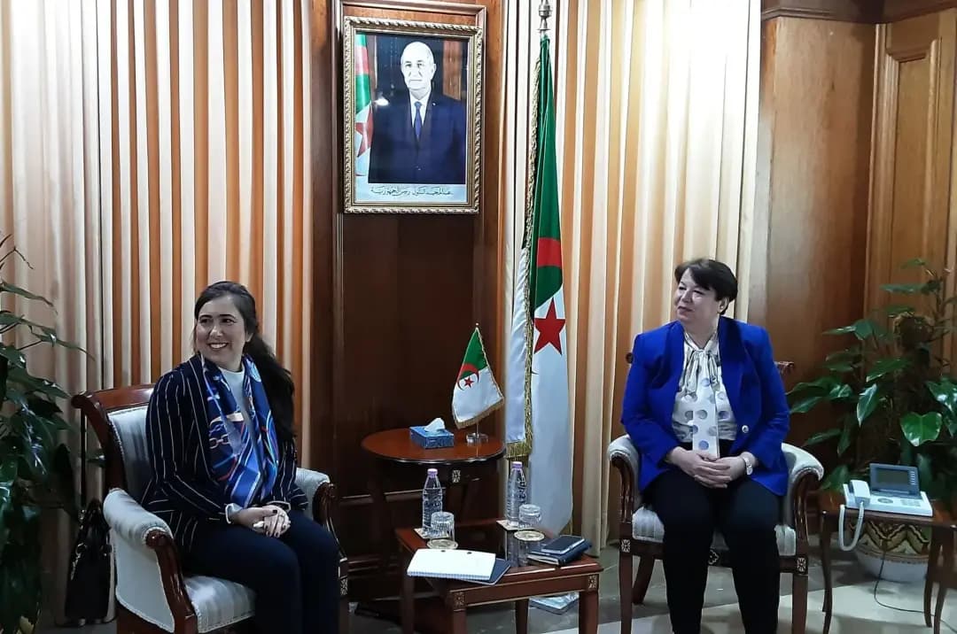 Algeria, WBG discuss ways to foster mining cooperation