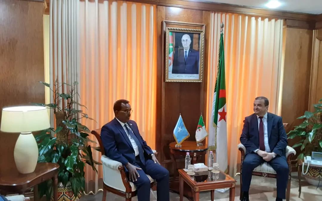 Algeria, Somalia move to strengthen hydrocarbons cooperation, expand energy partnerships