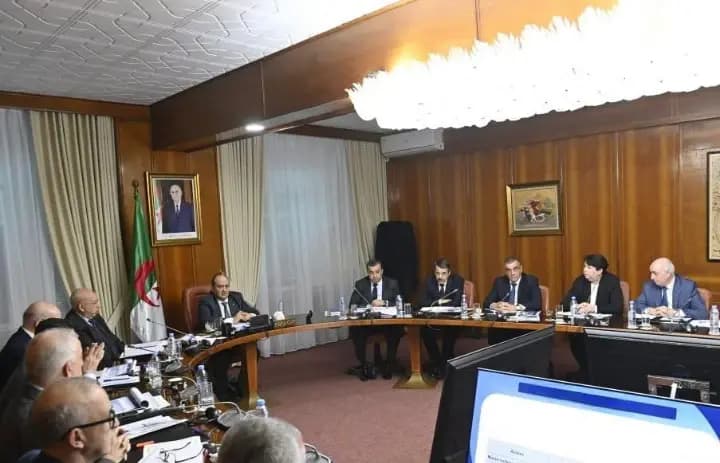 PM chairs Joint Ministerial Council meeting on integrated phosphate project progress