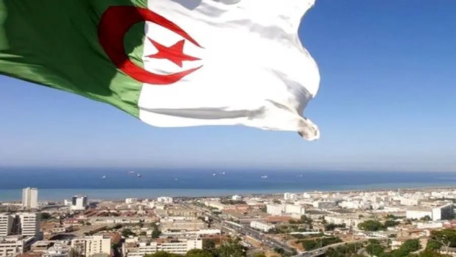 Algeria elected vice-chair of United Nations NGO Committee Bureau for 2026
