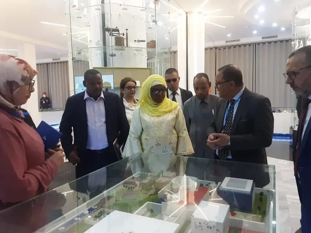 Sonelgaz receives high-level delegations from Niger, Chad