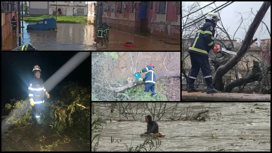 Strong winds: 530 Civil Protection interventions since 27 January