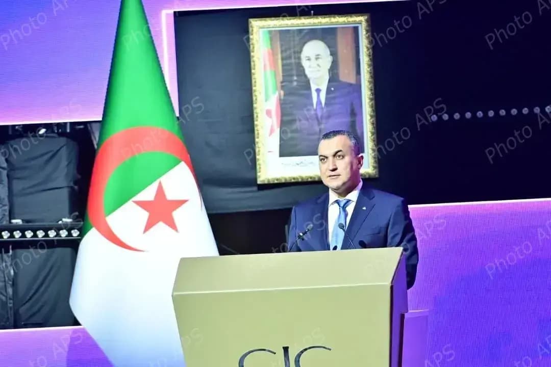 Africa must assert itself as key player in technological production, says Zerrouki