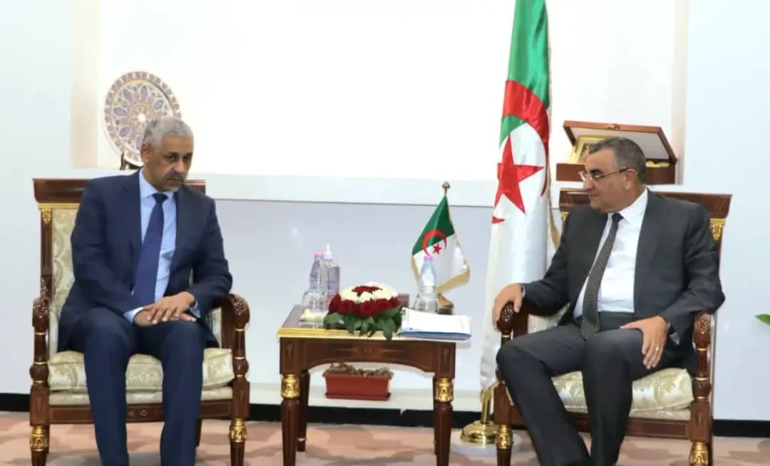 Djellaoui receives AfDB President