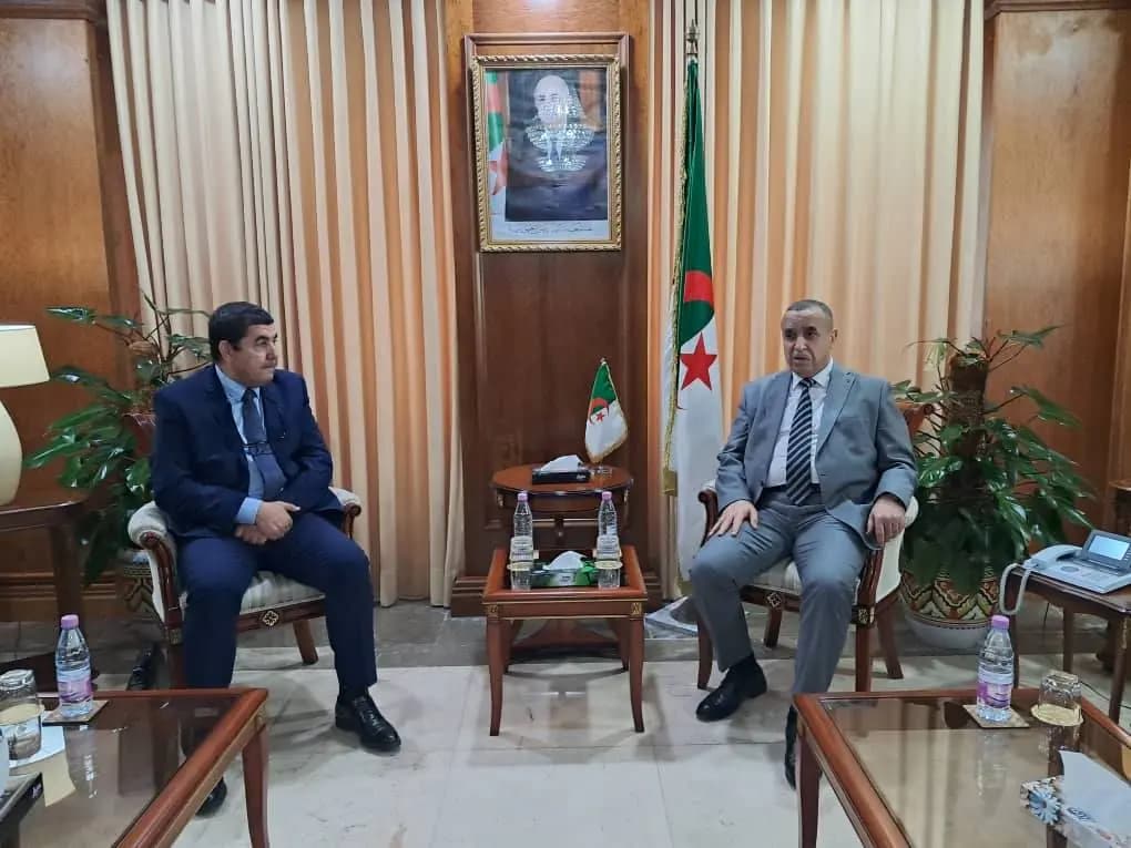 Electrical industry, international energy cooperation focus of Adjal-CIEL vice president meeting