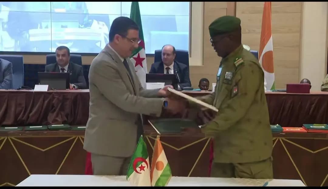 Algeria, Niger move to scale up bilateral health cooperation