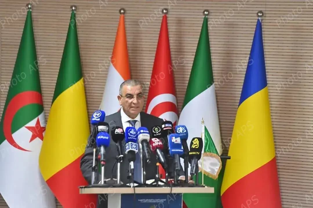 Minister Djellaoui highlights Algeria's pivotal role in Trans-Saharan Highway project
