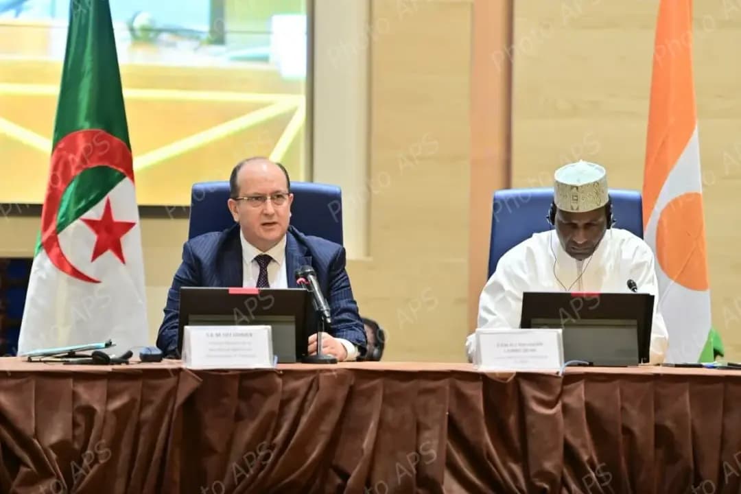 PM Sifi Ghrieb stresses importance of follow-up mechanism for bilateral roadmap