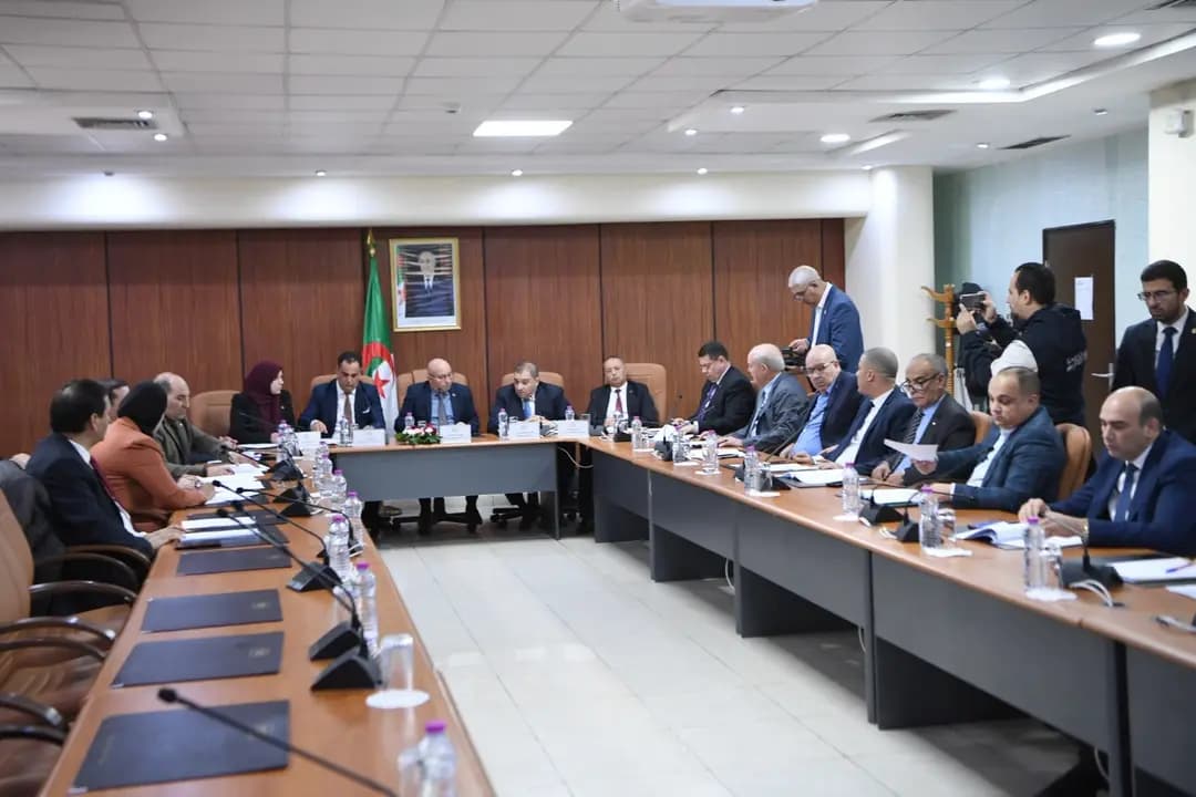 Lower House: Legal Affairs Committee considers proposed amendment to law on nationality