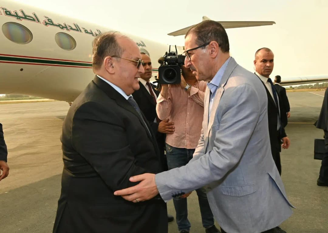 Wildfires: PM travels to Jijel on President Tebboune's instructions to assess situation
