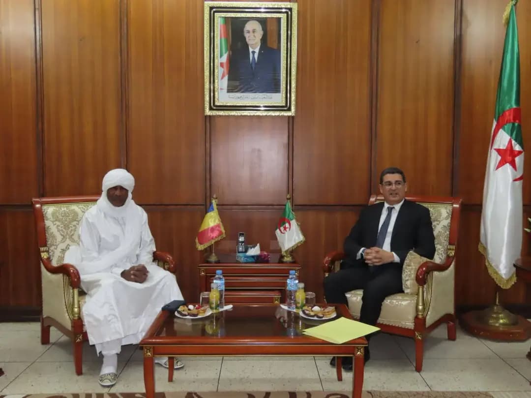 Algeria-Chad cooperation at core of Health Ministers' talks