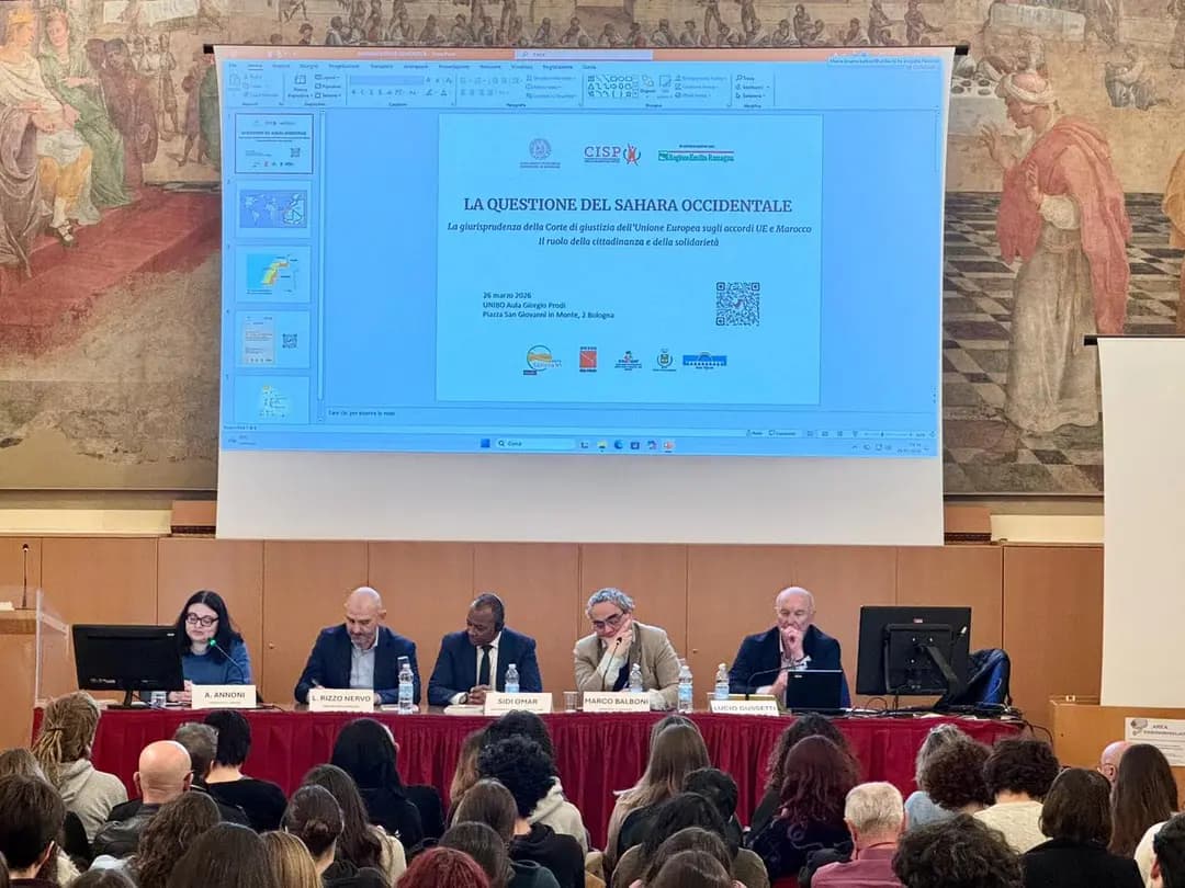 Sahrawi people’s self-determination, sole path to achieve sustainable, just solution, says diplomat