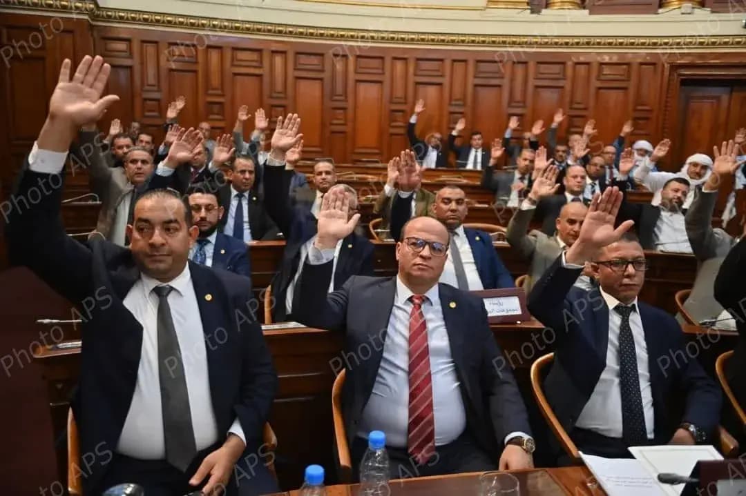 Upper House passes bill criminalizing French colonization in Algeria
