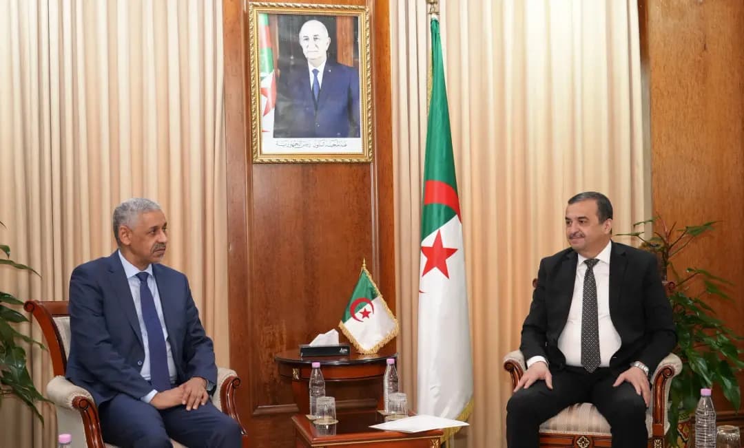 Energy Minister Arkab receives AfDB President