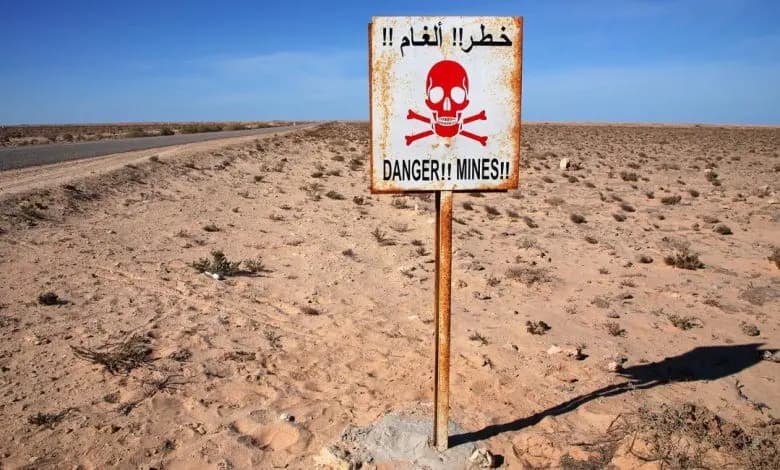 International Mine Awareness Day: Gaza Strip faces explosive ordnance threat