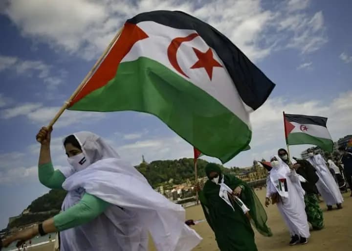 Observatory: Occupied Western Sahara deals without consent breach international law