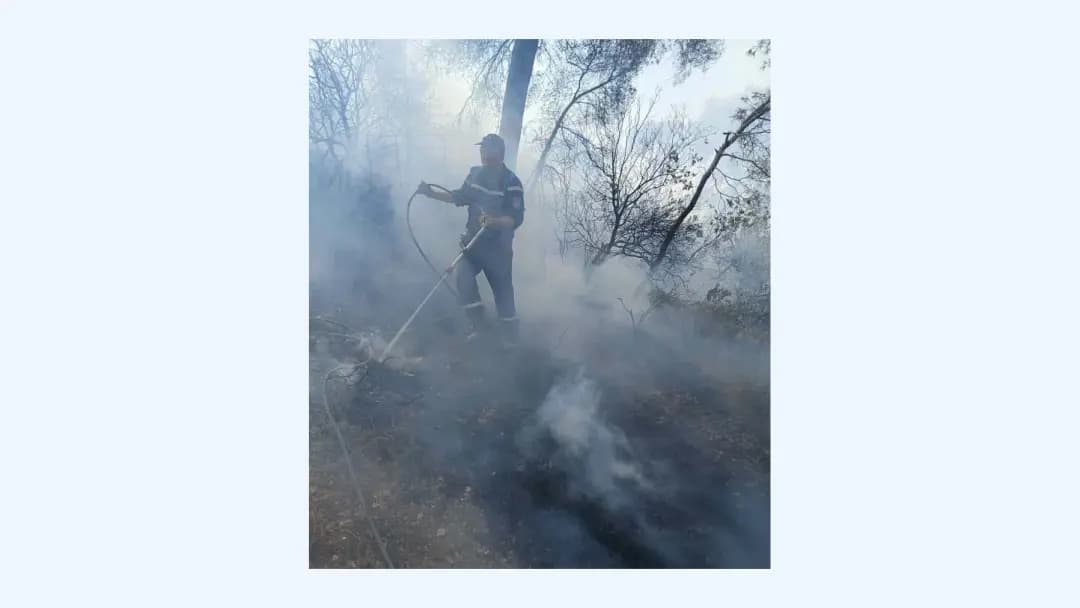 36 out of 47 fires extinguished in last 24 hours