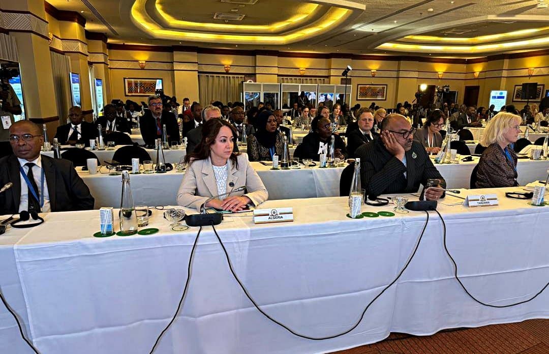 Mansouri attends 22nd Ministerial Meeting of Africa-Nordic countries