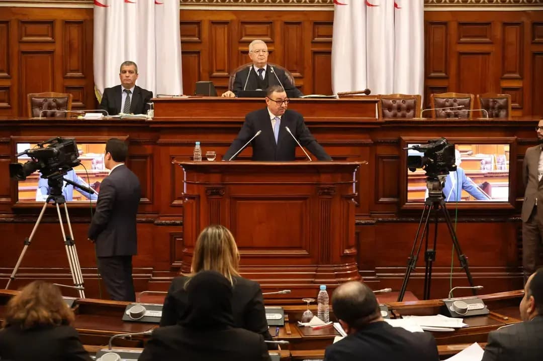 Sayoud presents bill on elections