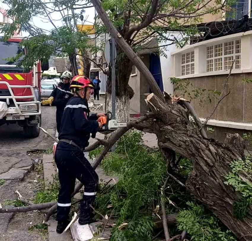 Civil Protection: Severe winds prompt 370 interventions, no human casualties