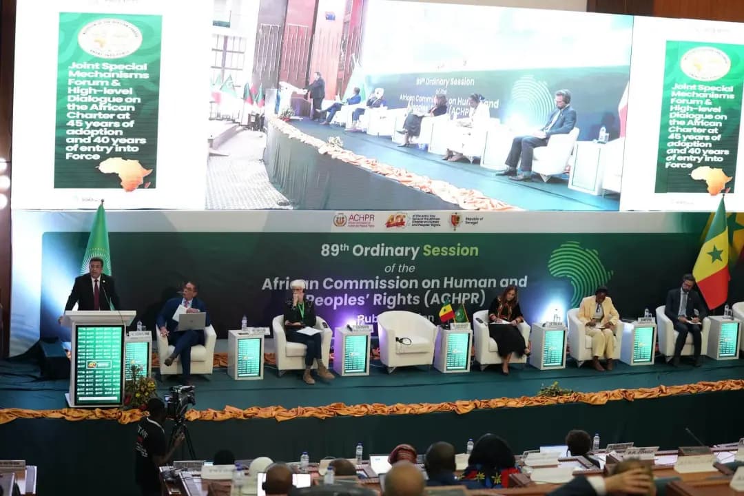 Boutbig urges stronger parliamentary role in protecting human, peoples' rights