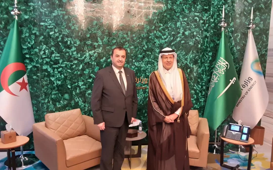 Arkab, Saudi Arabia’s Energy minister discuss bilateral cooperation