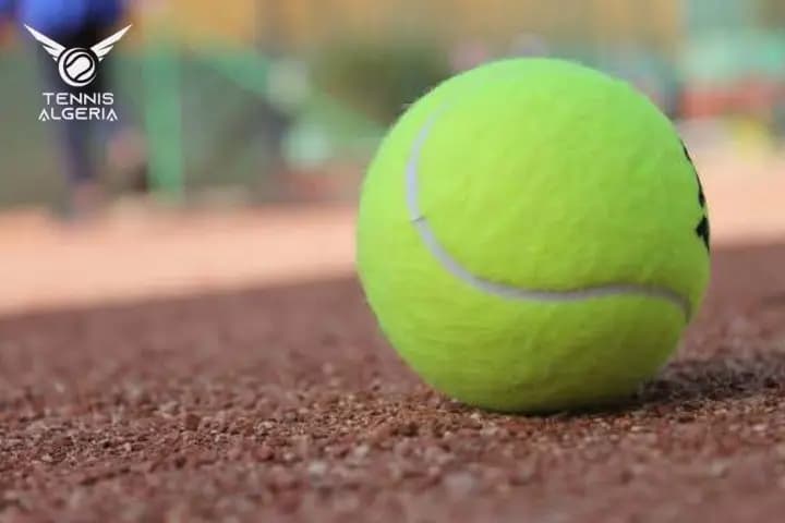 Tennis / U18 African Championships: Algerian team hard at work in Egypt