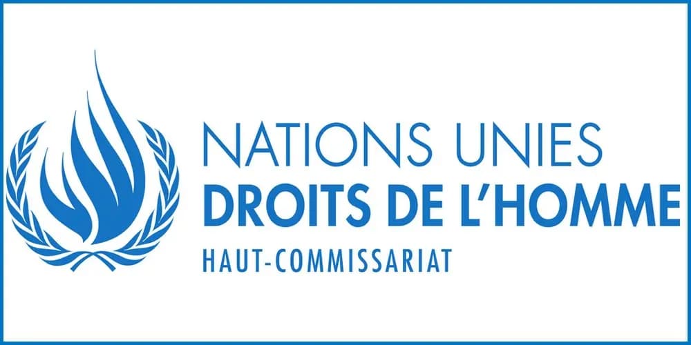 UN voices concern over ethnic cleansing in Gaza, West Bank